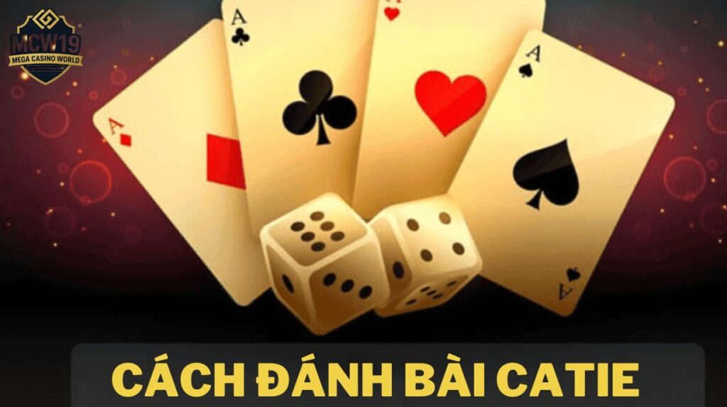 Cách Chơi Bài Catte Chuẩn Từng Bước Cho Người Mới 2 Hướng dẫn cách chơi bài Catte từng vòng