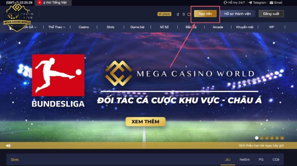Nạp Tiền MCW19 - Hướng Dẫn Chi Tiết, An Toàn Và Nhanh Chóng 3 Cách Xử Lý Khi Gặp Lỗi Nạp Tiền MCW19
